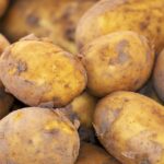 potato new harvest nature 3440360